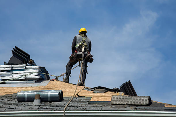 Professional Storm Damage Roof Repair technician working in Vermont, IL